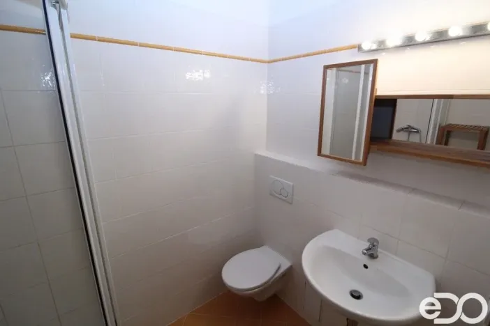 Pronájem bytu 1+kk, Praha - Holešovice, Osadní, 33 m2