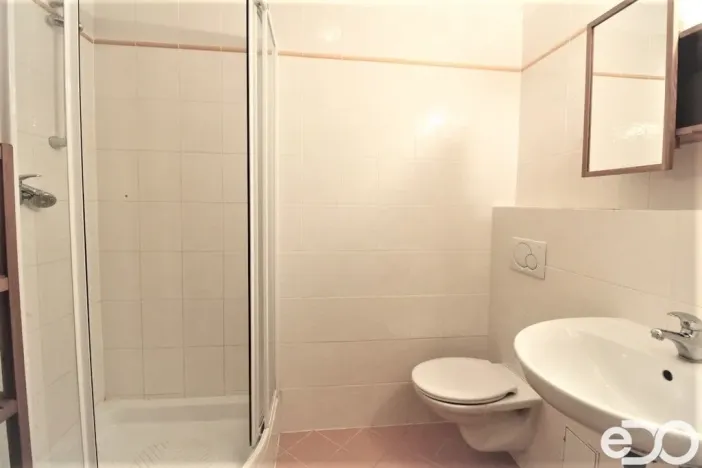Pronájem bytu 1+kk, Praha - Holešovice, Osadní, 33 m2