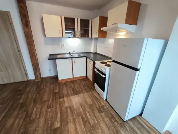 Pronájem bytu 1+kk, Ústí nad Labem, Londýnská, 52 m2