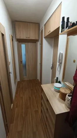 Prodej bytu 2+1, Třebíč, Družstevní, 53 m2