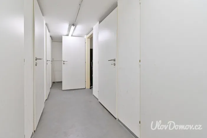 Prodej bytu 1+kk, Praha - Břevnov, Bělohorská, 52 m2