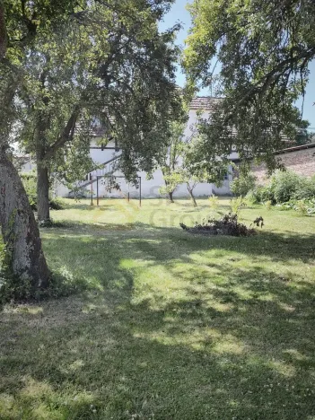Prodej rodinného domu, Jenišov, 700 m2