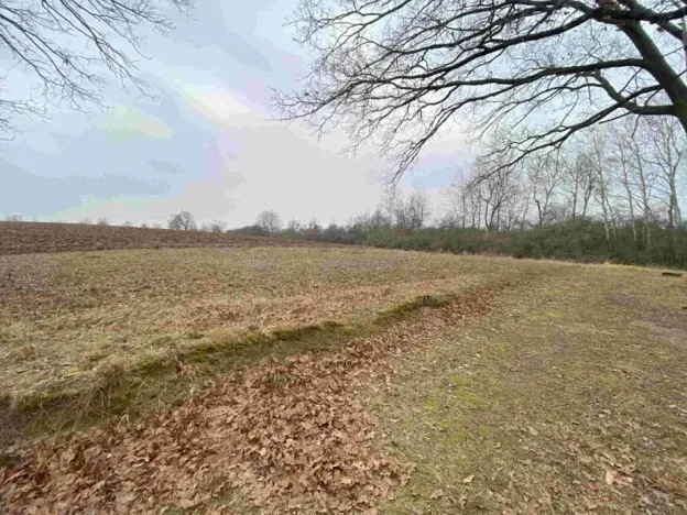 Dražba pozemku, Drahonice, 2121 m2