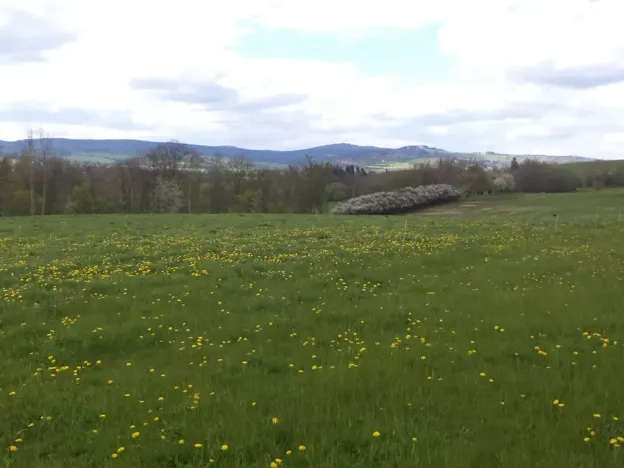 Dražba louky, Staré Město, 10063 m2