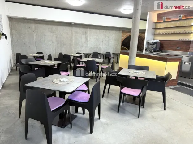 Prodej komerční nemovitosti, Pavlov, Česká, 264 m2