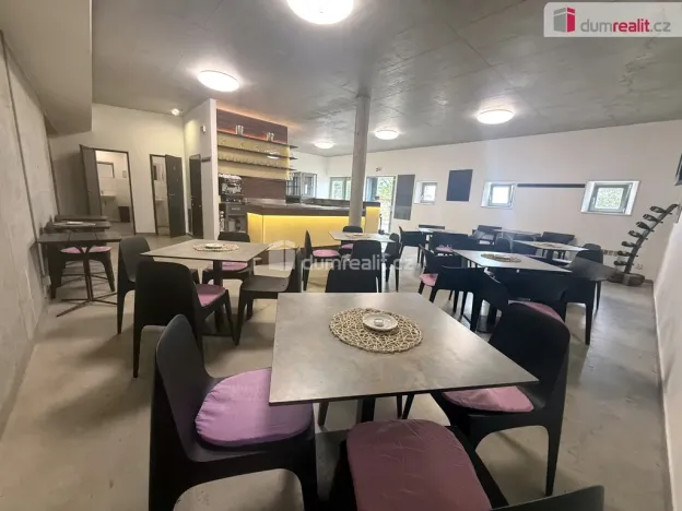 Prodej komerční nemovitosti, Pavlov, Česká, 264 m2