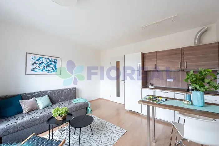 Pronájem bytu 1+kk, Praha - Motol, Plzeňská, 28 m2