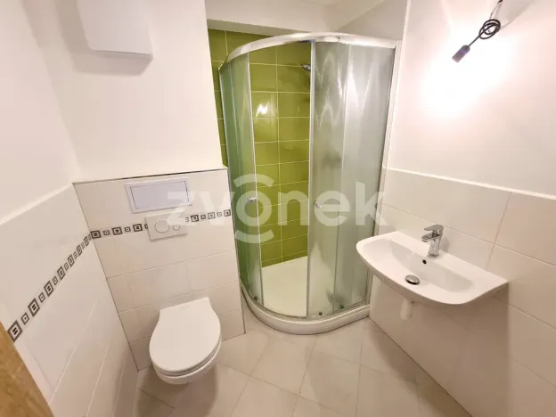 Pronájem bytu 1+kk, Zlín, Švermova, 30 m2