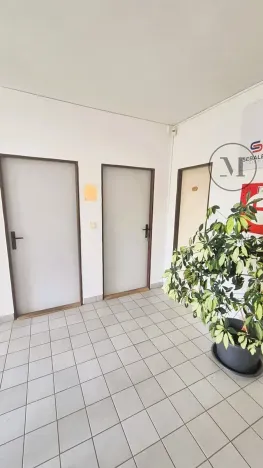 Pronájem kanceláře, České Budějovice, Hlinská, 25 m2