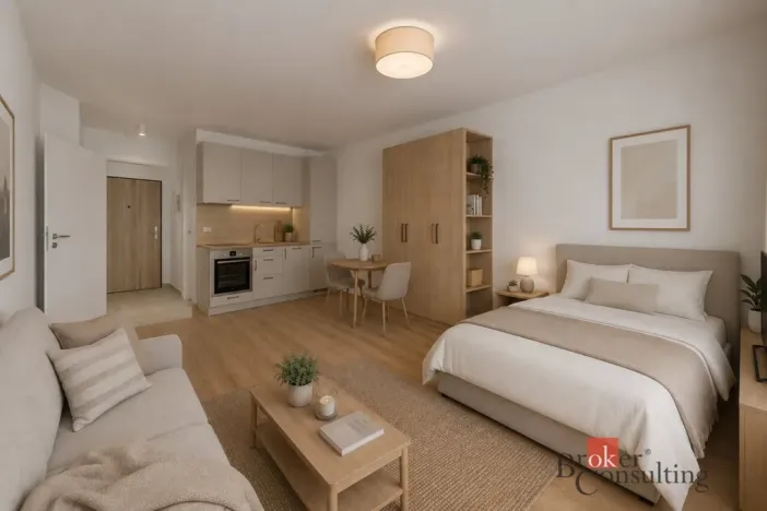 Prodej bytu 1+kk, Plzeň - Jižní Předměstí, Železná, 37 m2