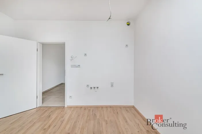 Prodej bytu 1+kk, Plzeň - Jižní Předměstí, Železná, 37 m2