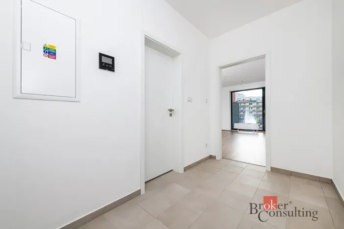 Prodej bytu 1+kk, Plzeň - Jižní Předměstí, Železná, 37 m2