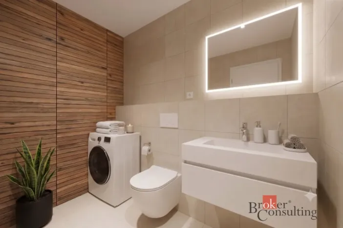 Prodej bytu 1+kk, Plzeň - Jižní Předměstí, Železná, 37 m2