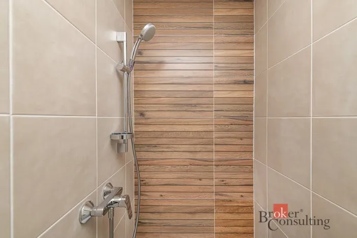 Prodej bytu 1+kk, Plzeň - Jižní Předměstí, Železná, 37 m2
