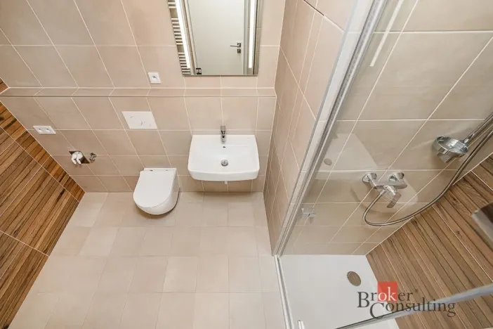 Prodej bytu 1+kk, Plzeň - Jižní Předměstí, Železná, 37 m2