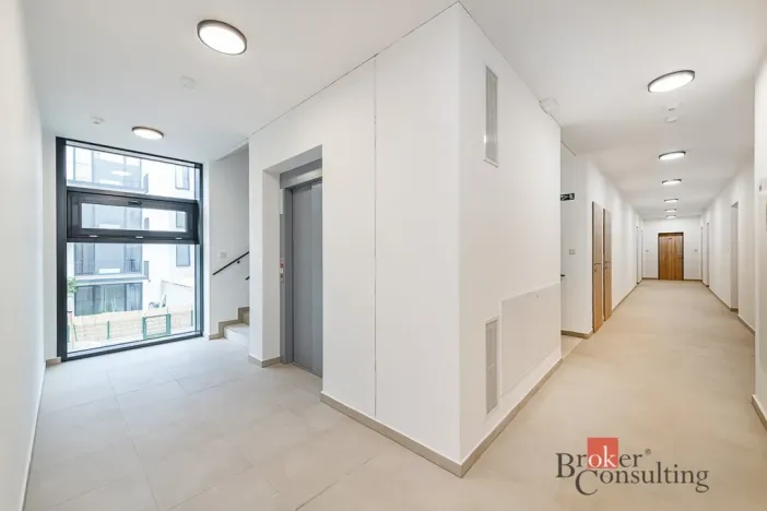 Prodej bytu 1+kk, Plzeň - Jižní Předměstí, Železná, 37 m2