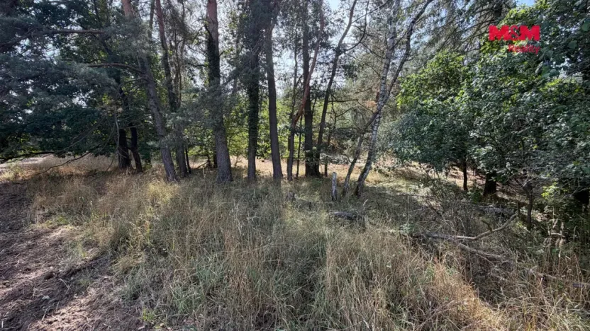 Prodej pole, Úštěk, 8460 m2