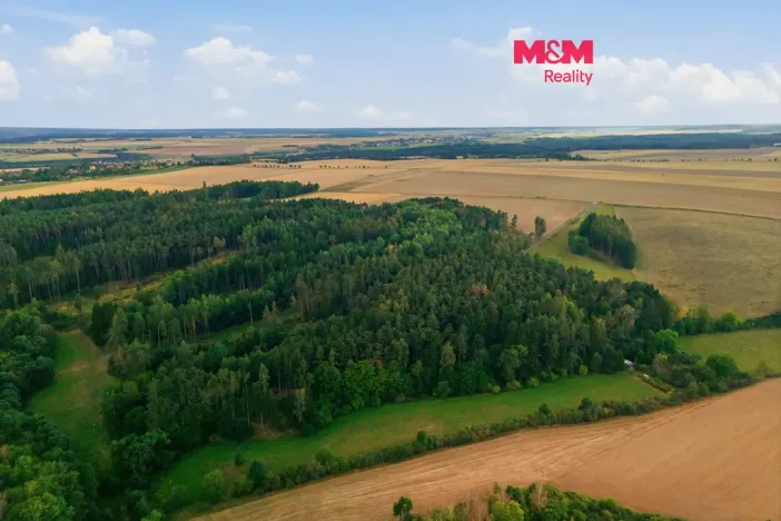 Prodej lesa, Břežany, 5988 m2