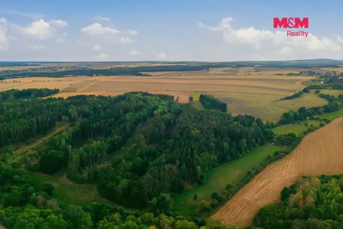 Prodej lesa, Břežany, 5988 m2