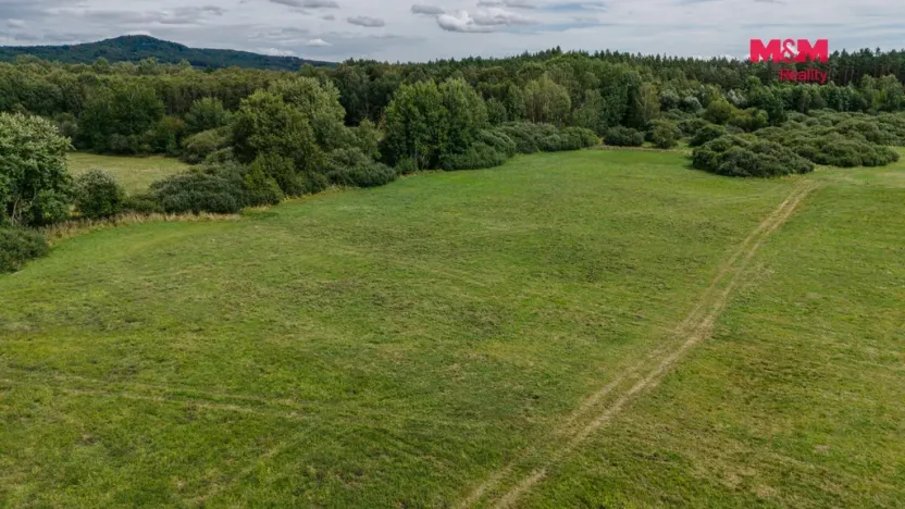 Prodej louky, Jestřebí, 14822 m2