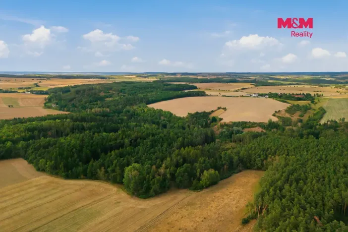 Prodej lesa, Břežany, 4230 m2