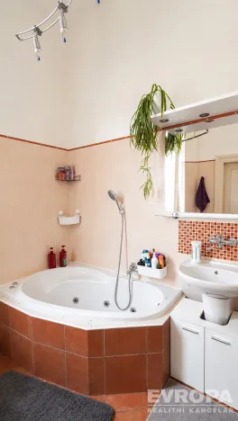Pronájem bytu 4+1, Opava - Předměstí, Zacpalova, 144 m2