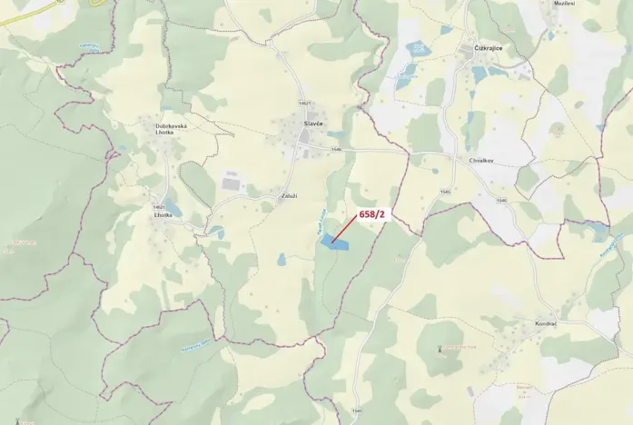 Dražba lesa, Slavče, 26622 m2