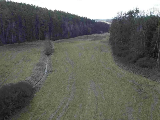 Dražba pole, Horšovský Týn, 385 m2
