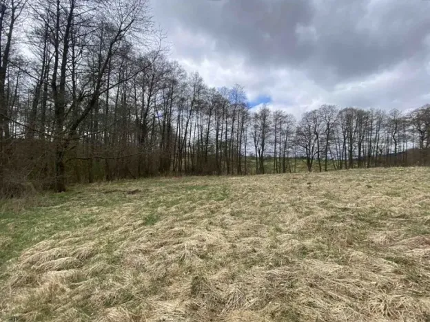 Dražba louky, Jablonné v Podještědí, 692 m2
