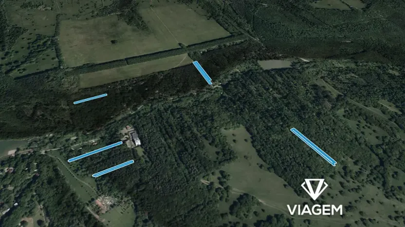 Prodej lesa, Kněždub, 3980 m2