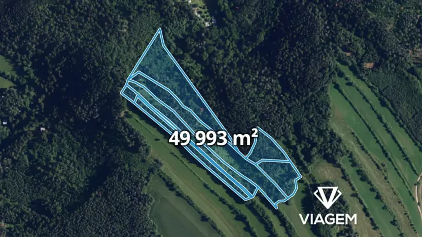 Prodej podílu lesa, Kuřimská Nová Ves, 25162 m2