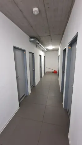 Pronájem bytu 1+kk, Plzeň, Sladová, 42 m2