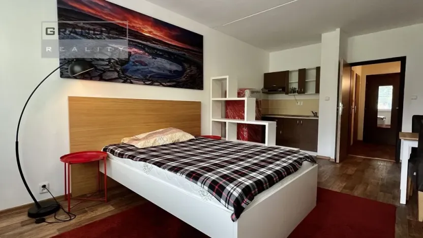 Pronájem bytu 1+kk, Praha - Modřany, Platónova, 29 m2
