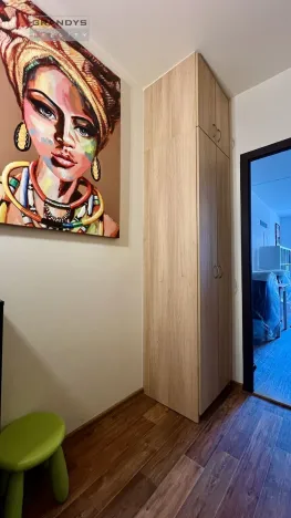 Pronájem bytu 1+kk, Praha - Modřany, Platónova, 29 m2