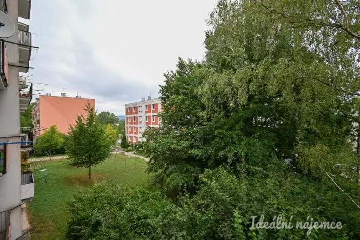 Pronájem bytu 2+kk, Brno, Družstevní, 53 m2