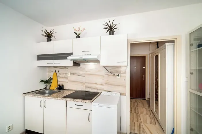 Pronájem bytu 1+kk, Praha, Štúrova, 20 m2
