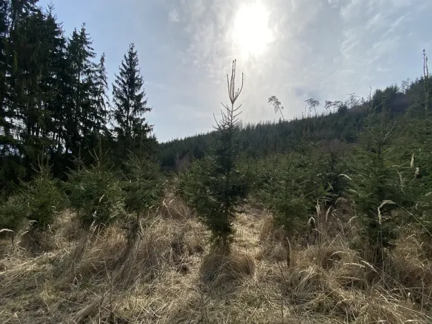 Prodej louky, Městečko Trnávka - Lázy, 1410 m2