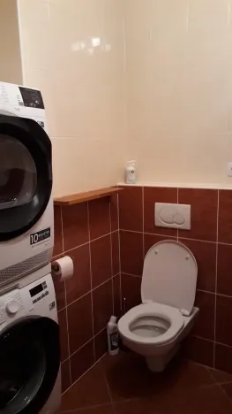 Pronájem bytu 2+kk, Praha, Kryšpínova, 52 m2