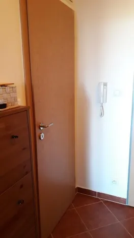 Pronájem bytu 2+kk, Praha, Kryšpínova, 52 m2