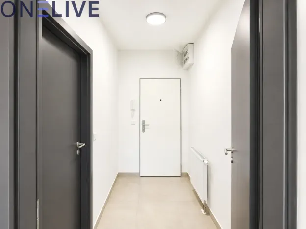 Pronájem bytu 1+kk, Zbůch, 29 m2