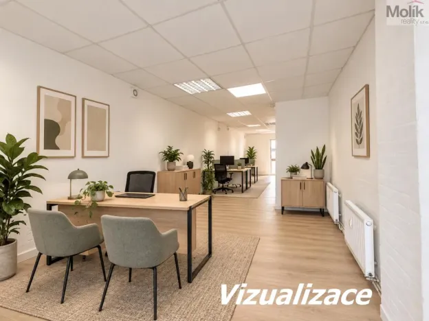 Prodej obchodního prostoru, Most, Šeříková, 39 m2