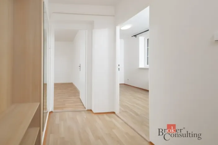 Pronájem bytu 1+1, Ostrava - Přívoz, Newtonova, 42 m2