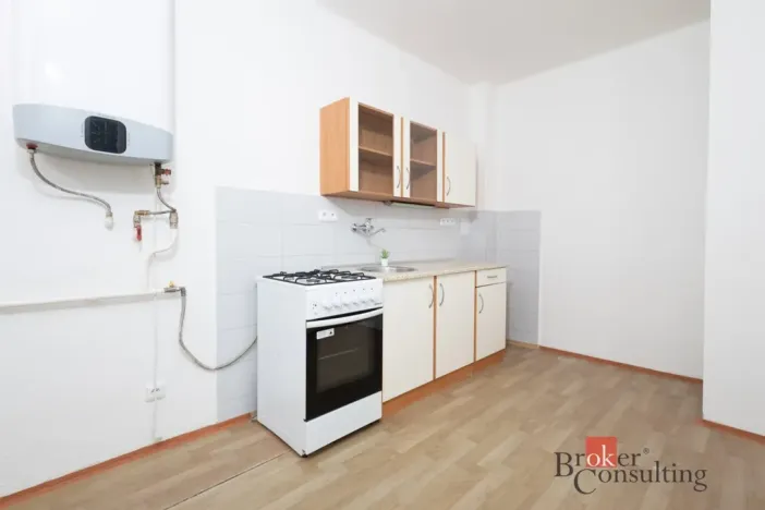 Pronájem bytu 1+1, Ostrava - Přívoz, Newtonova, 42 m2