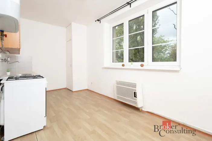 Pronájem bytu 1+1, Ostrava - Přívoz, Newtonova, 42 m2