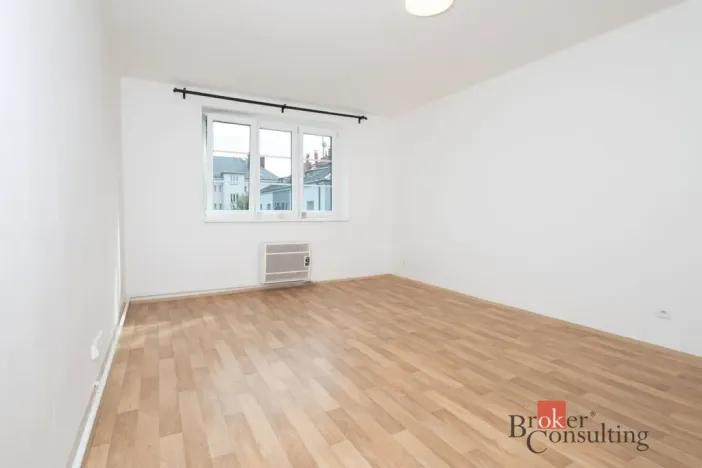 Pronájem bytu 1+1, Ostrava - Přívoz, Newtonova, 42 m2
