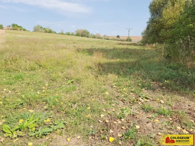 Prodej podílu 1/2 pole, Bojanovice, 35449 m2