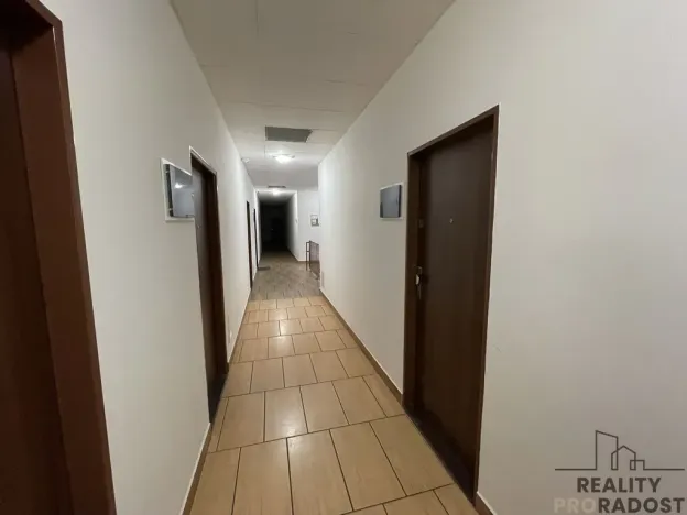 Pronájem bytu 1+kk, Olomouc - Hodolany, Březinova, 46 m2