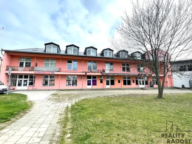Pronájem bytu 1+kk, Olomouc - Hodolany, Březinova, 46 m2