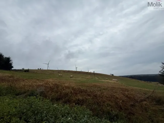 Prodej pozemku pro bydlení, Nová Ves v Horách, 3241 m2
