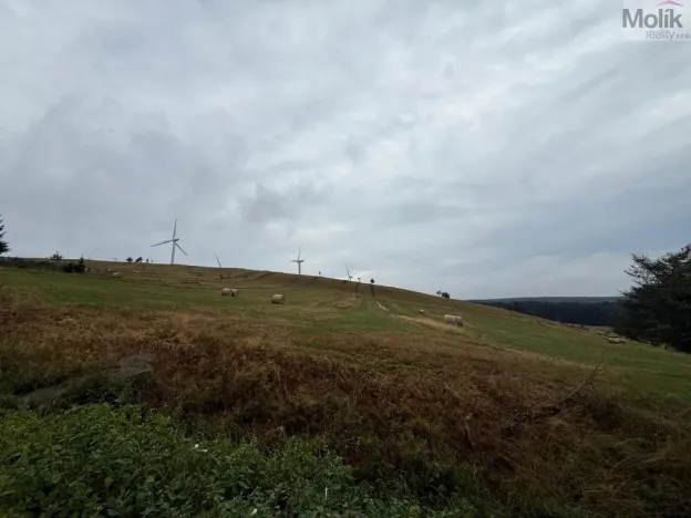 Prodej pozemku pro bydlení, Nová Ves v Horách, 3241 m2